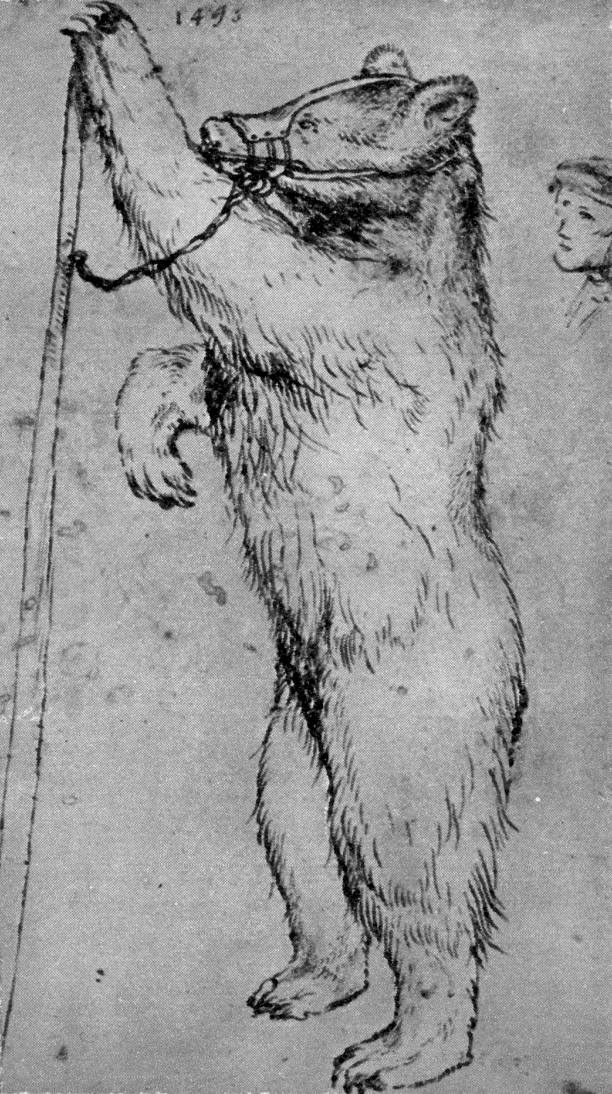 Archive record preview image