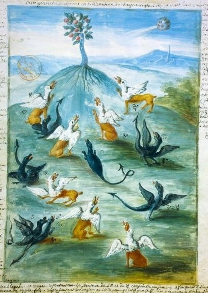 Archive record preview image