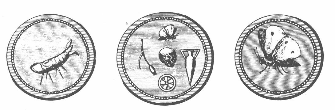Archive record preview image