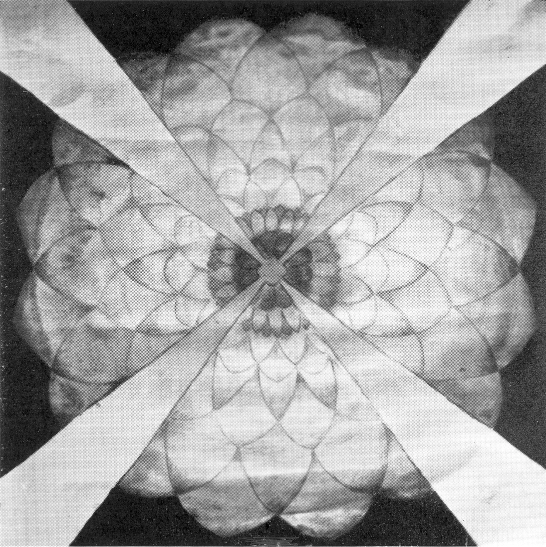 Archive record preview image