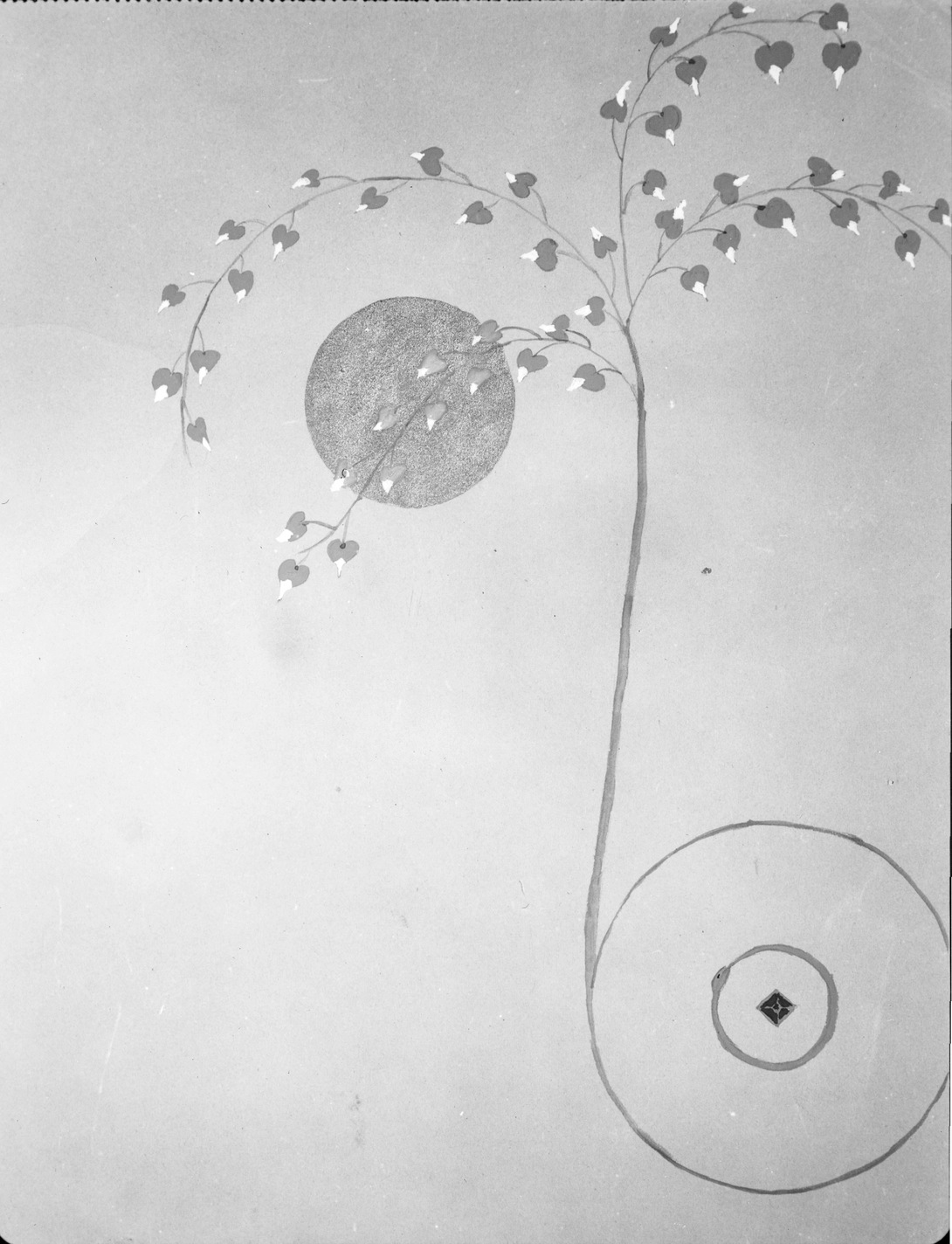 Archive record preview image