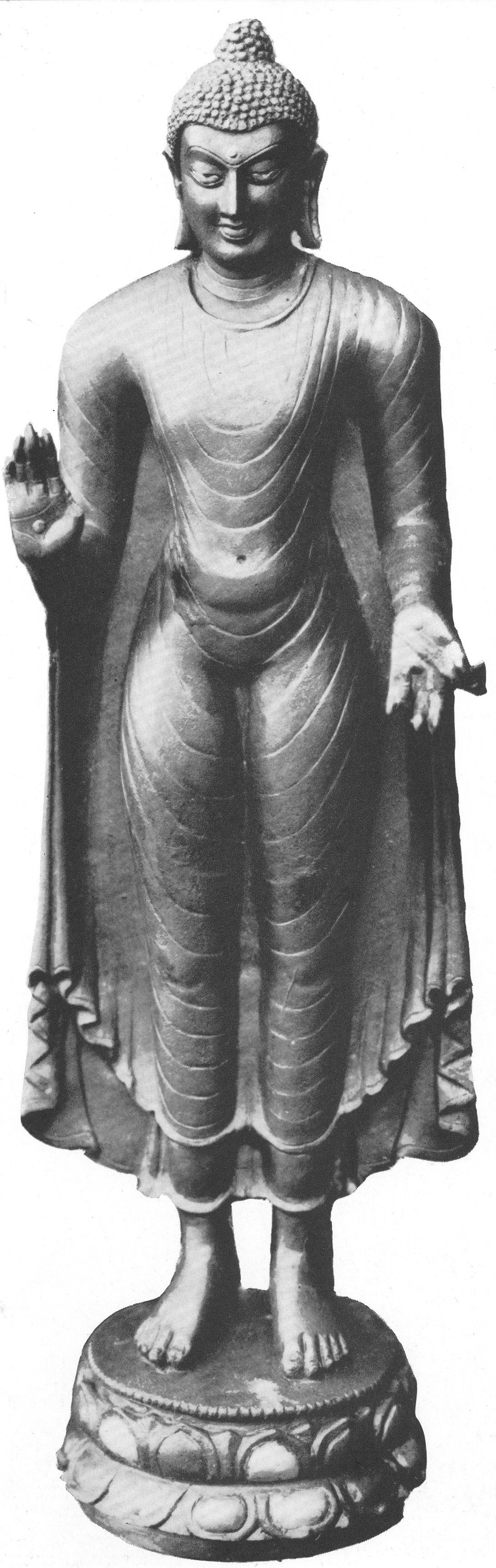 Archive record preview image