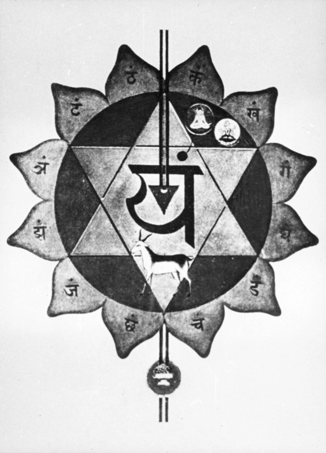 Archive record preview image