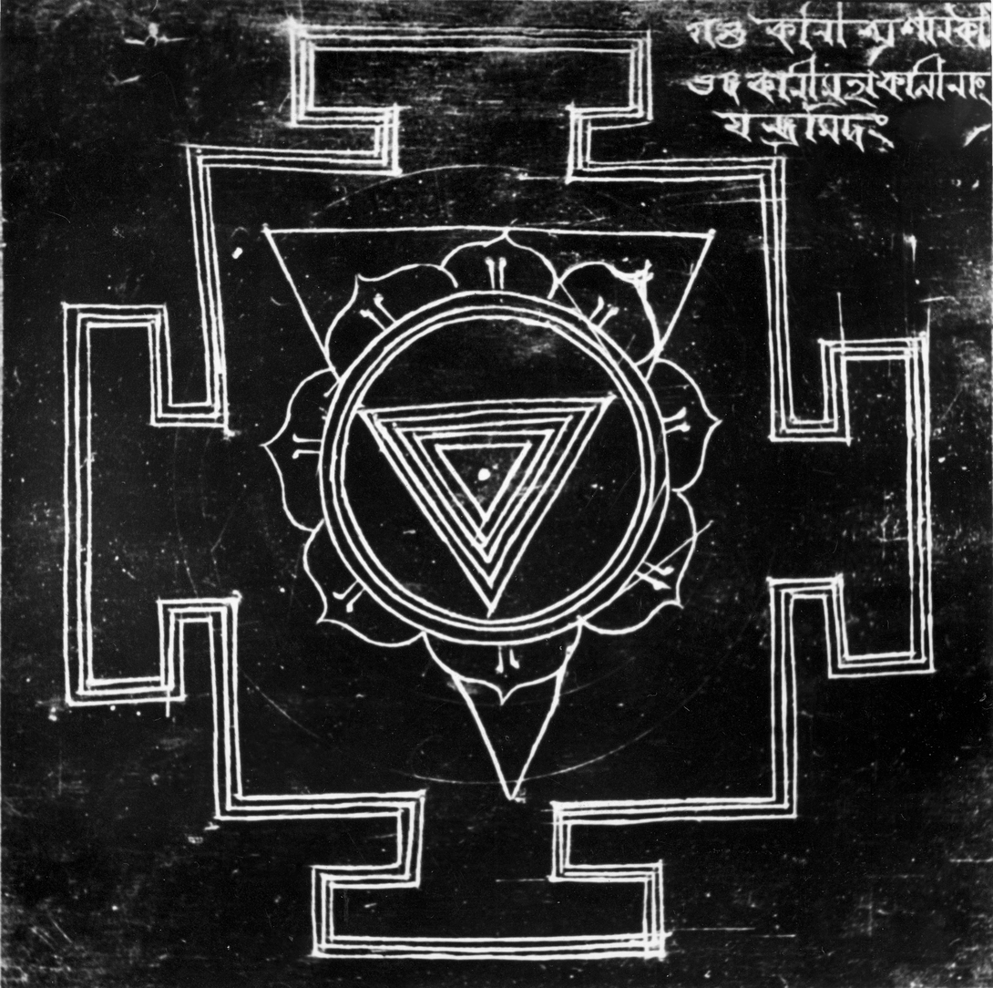 Archive record preview image