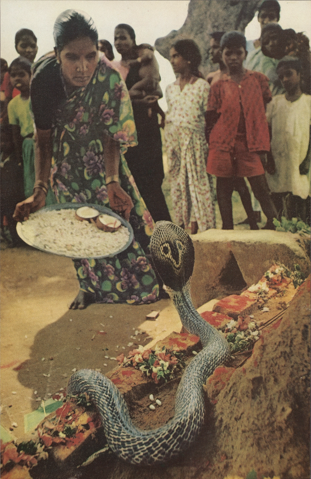 Archive record preview image