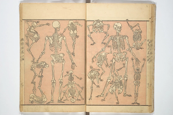 Archive record preview image