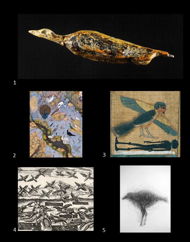 Archive record preview image