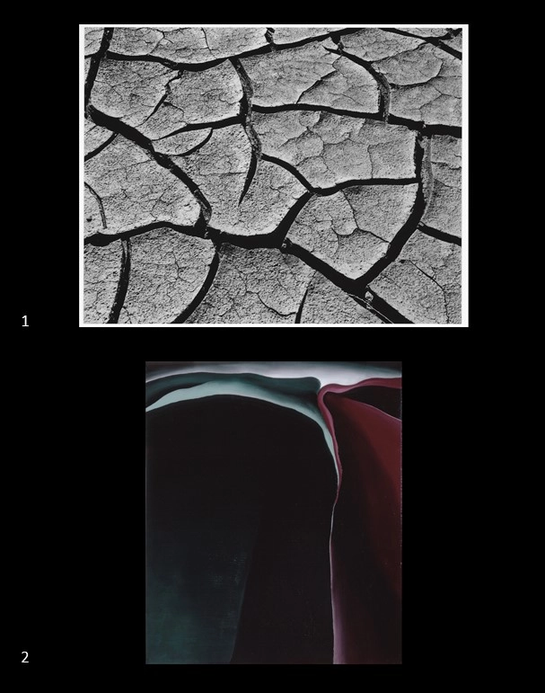 Archive record preview image