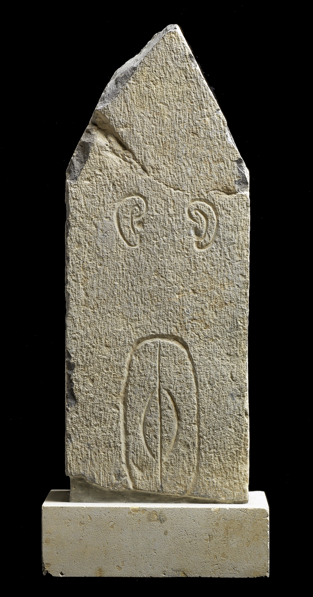 Archive record preview image