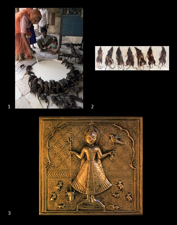 Archive record preview image
