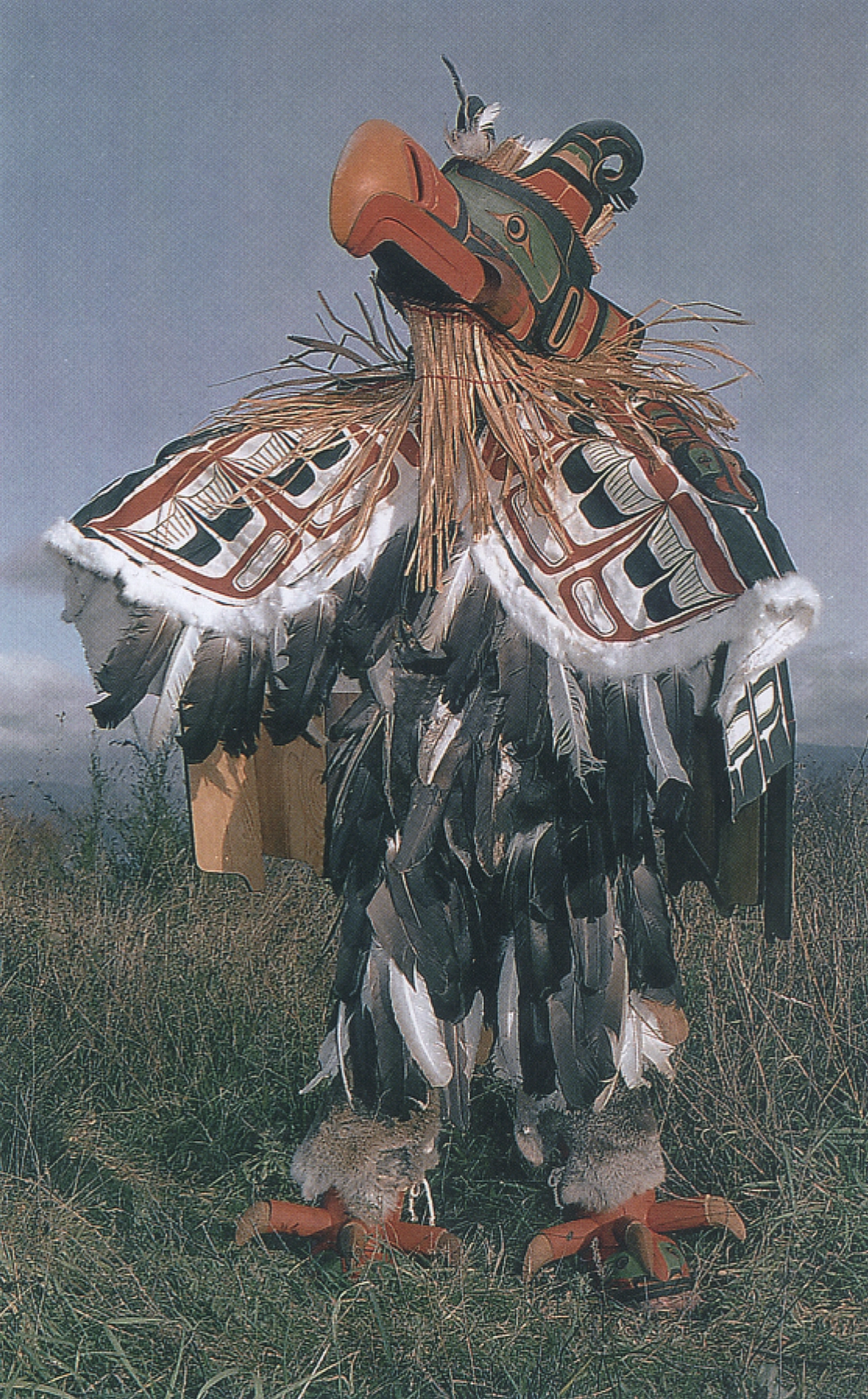 Archive record preview image